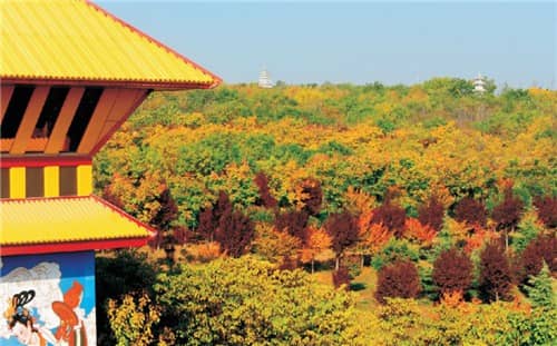 西安墓地價(jià)值,墓地購(gòu)買必看